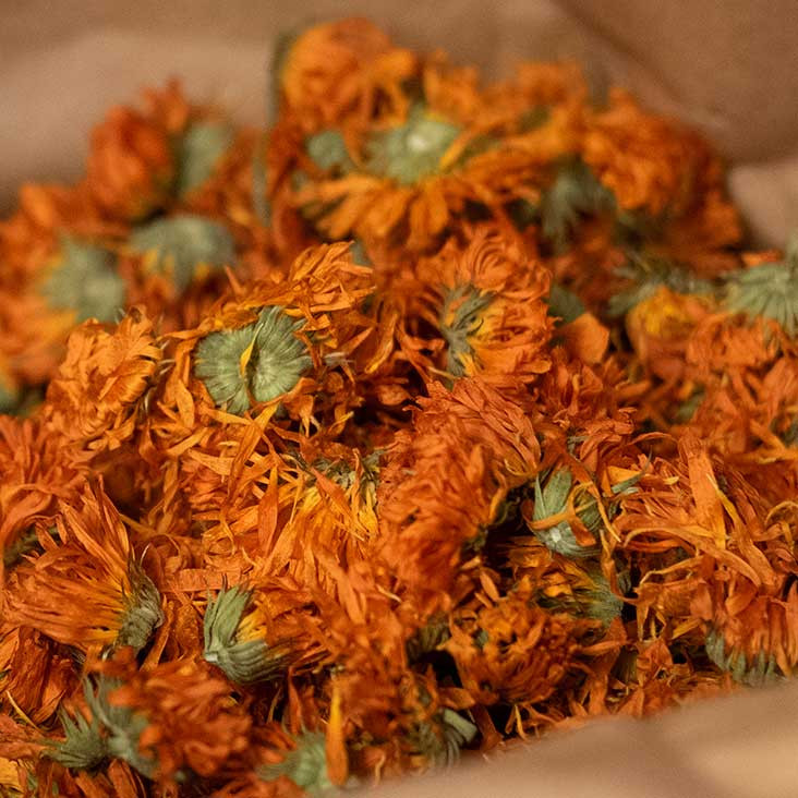 Naturkosmetik von Dr. Hauschka