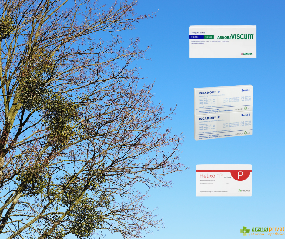 Misteltherapie bei Krebs | Immunsystem st&auml;rken